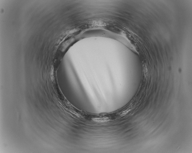 X0000070860556200607150059