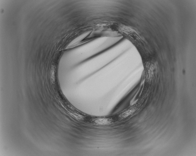 X0000070860562200607150059