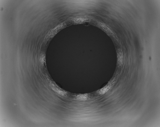 X0000070860574200607150059
