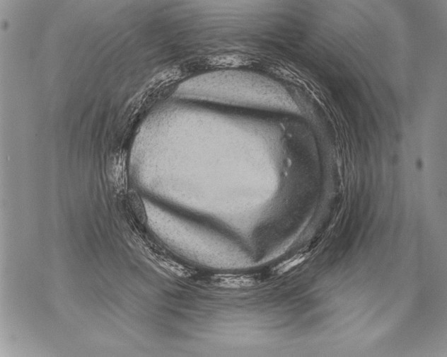 X0000070860601200607150058