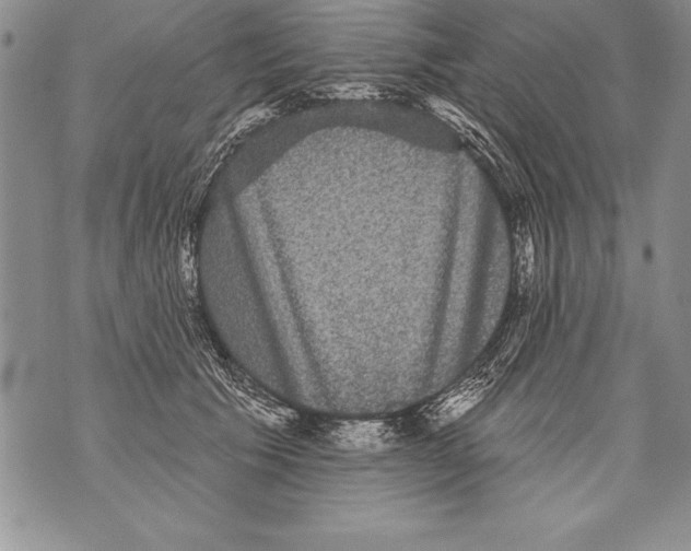 X0000070860609200607150058