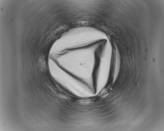 X0000070860615200607150058