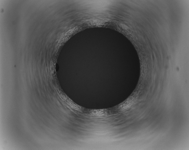 X0000070860624200607150058