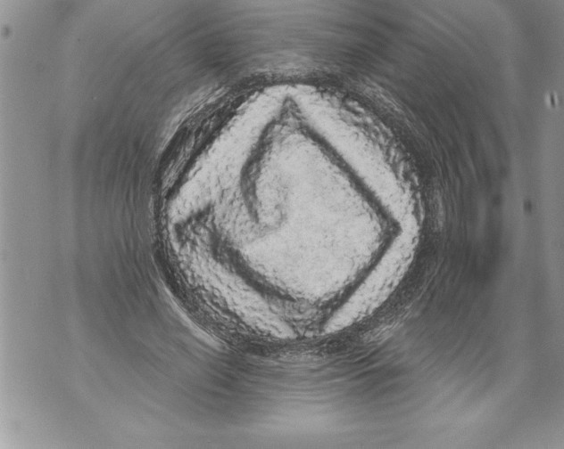 X0000070860638200607150057