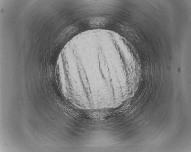 X0000070860649200607150057