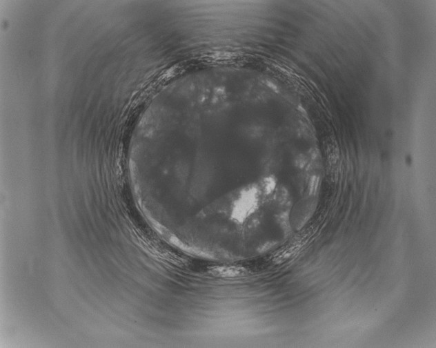 X0000070860654200607150057