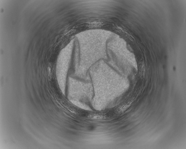 X0000070860655200607150057