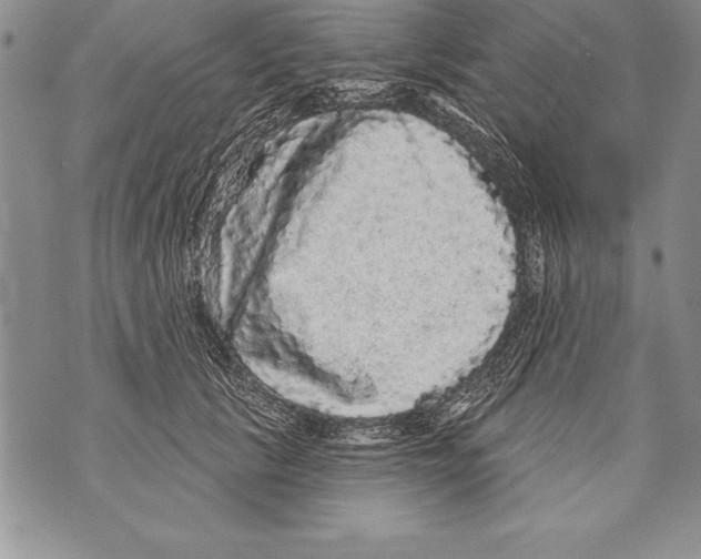 X0000070860657200607150057