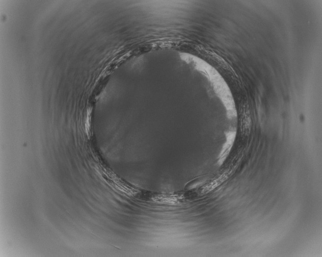 X0000070860661200607150057