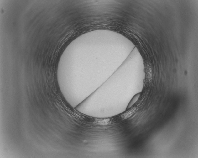 X0000070860665200607150057