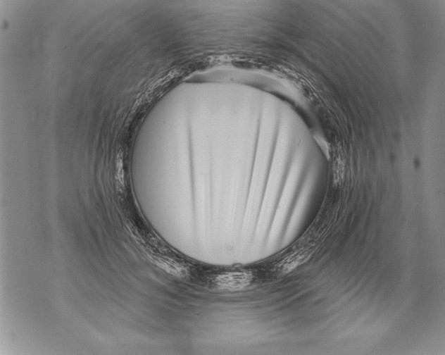 X0000070860700200607150056