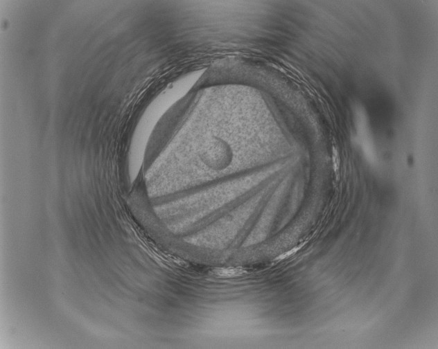 X0000070860750200607150056