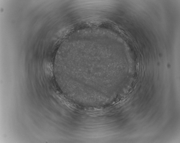 X0000070860772200607150055
