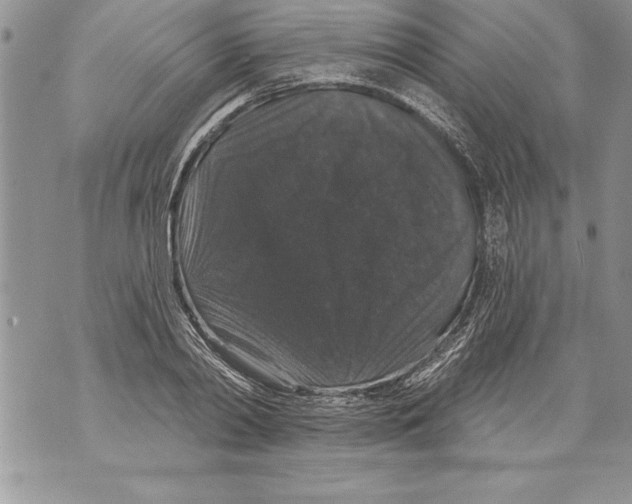 X0000070860790200607150055