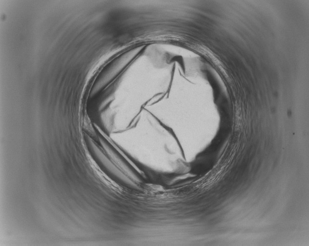 X0000070860795200607150055
