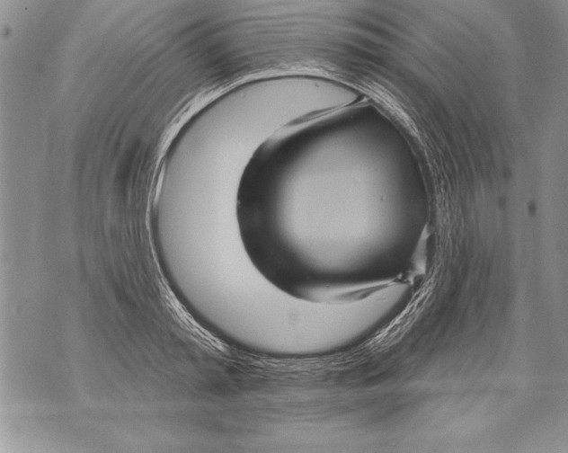 X0000070860797200607150055