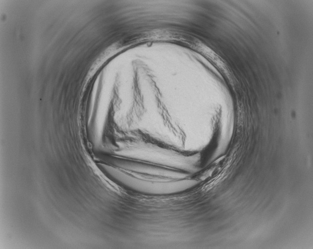 X0000070860803200607150055