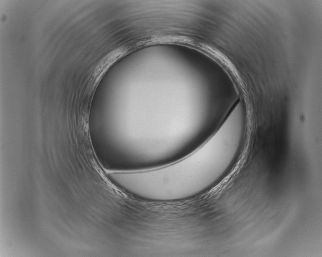 X0000070860809200607150055