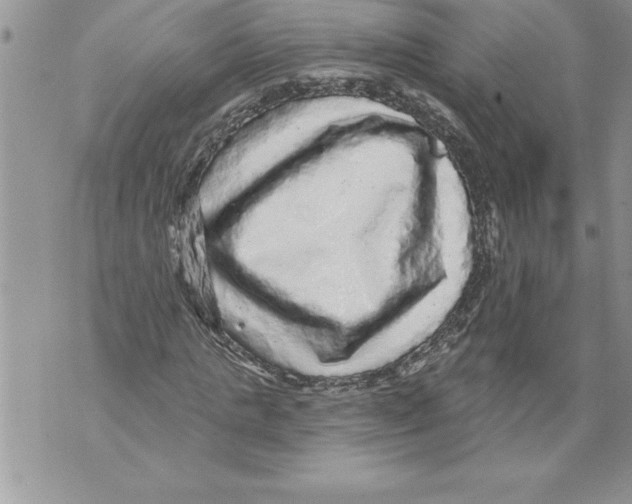 X0000070860821200607150054