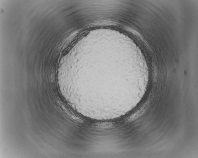 X0000070860833200607150054