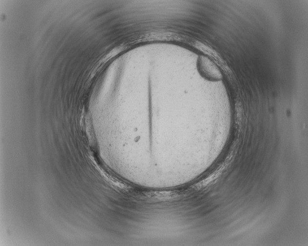 X0000070860841200607150054