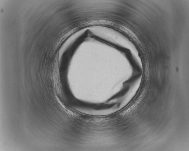X0000070860849200607150054
