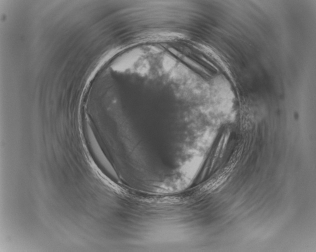X0000070860851200607150054