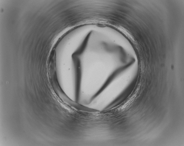 X0000070860854200607150054