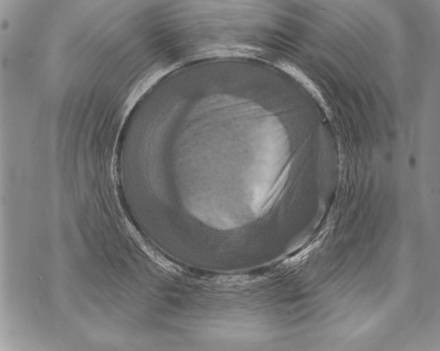 X0000070860893200607150053