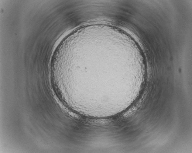 X0000070860949200607150053