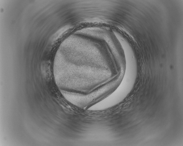 X0000070860968200607150052