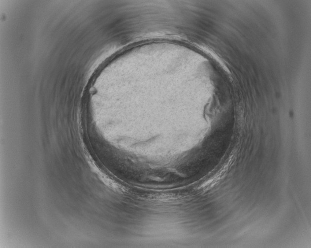 X0000070860991200607150052