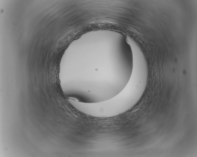 X0000070861014200607150051