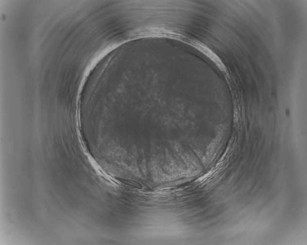 X0000070861144200607150050