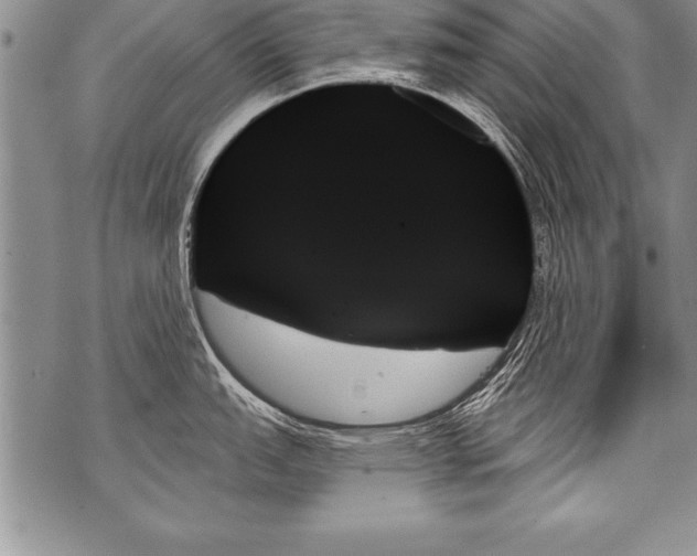 X0000070861151200607150050