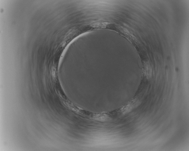 X0000070861154200607150049