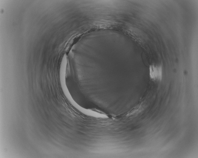 X0000070861155200607150049
