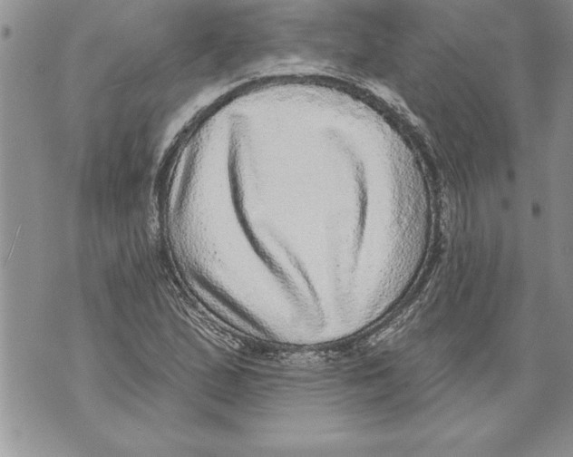 X0000070861167200607150049