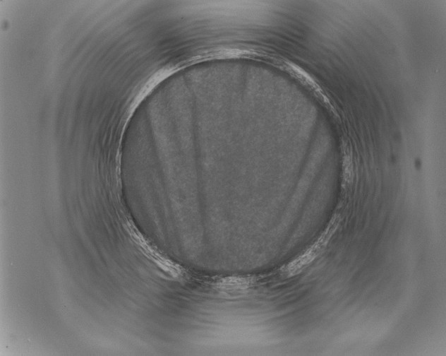 X0000070861178200607150049