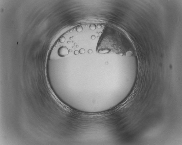 X0000070861195200607150048