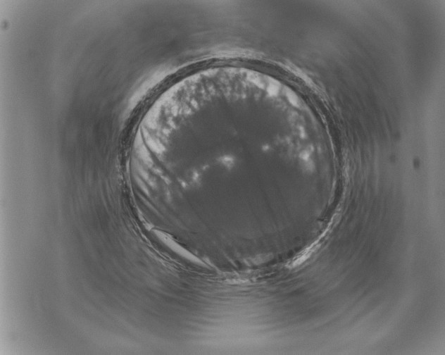 X0000070861263200607150047