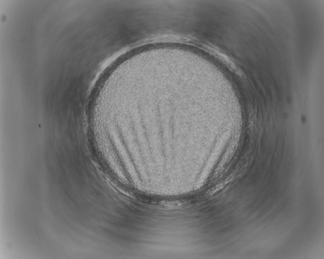 X0000070861264200607150047