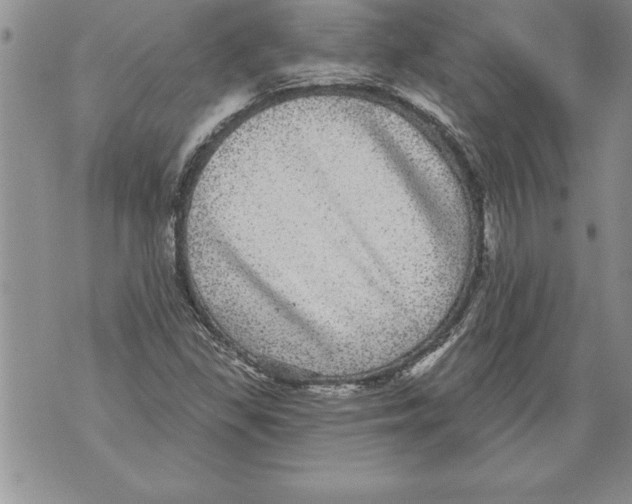 X0000070861309200607150046