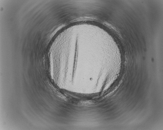 X0000070861313200607150046