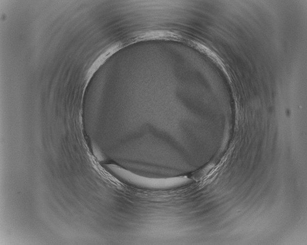 X0000070861330200607150047