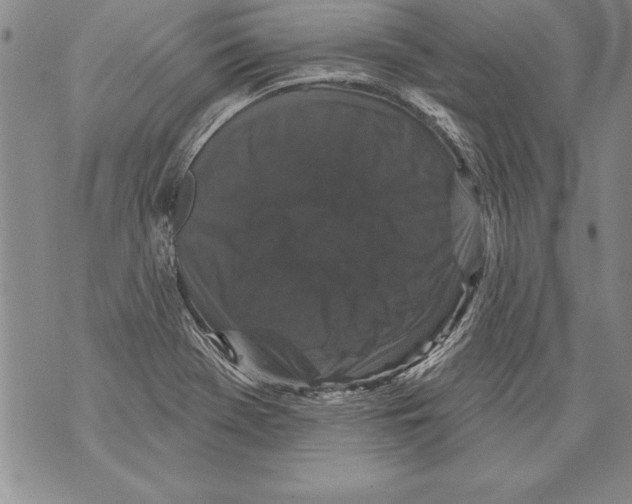 X0000070861369200607150046