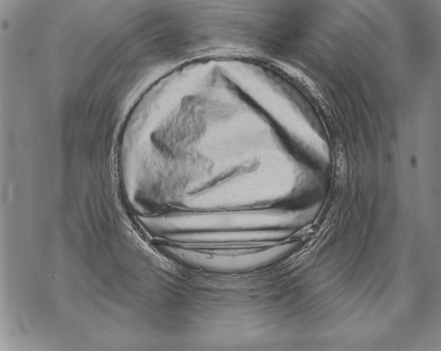 X0000070861375200607150046