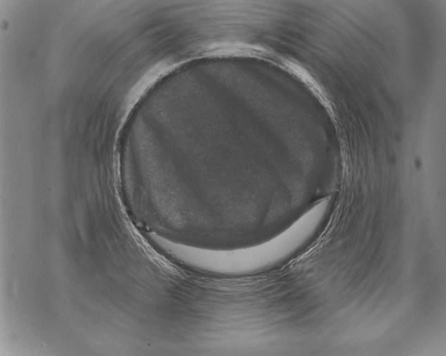 X0000070861376200607150045
