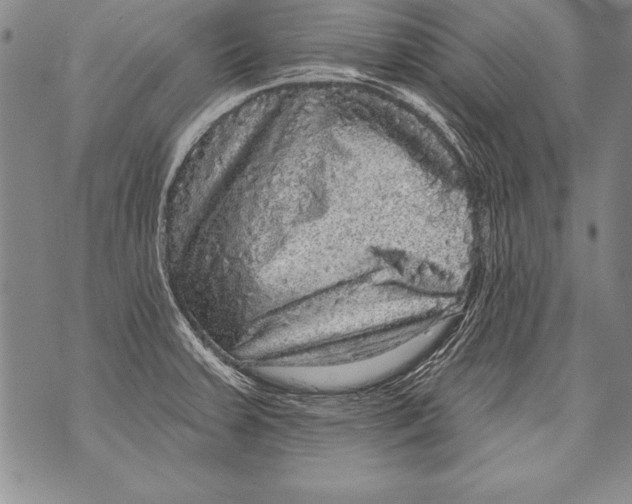 X0000070861379200607150045