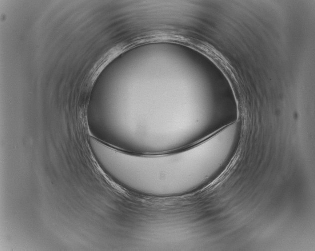 X0000070861385200607150045